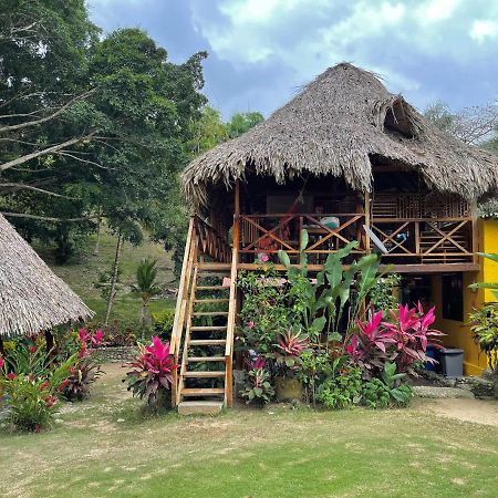 Ecohostal Palmares Del Rio Guachaca ภายนอก รูปภาพ