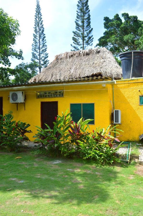 Ecohostal Palmares Del Rio Guachaca ภายนอก รูปภาพ