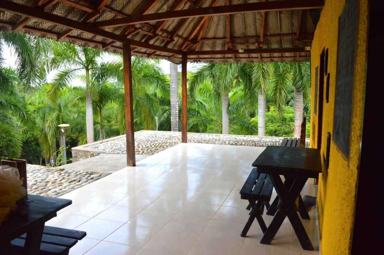 Ecohostal Palmares Del Rio Guachaca ภายนอก รูปภาพ