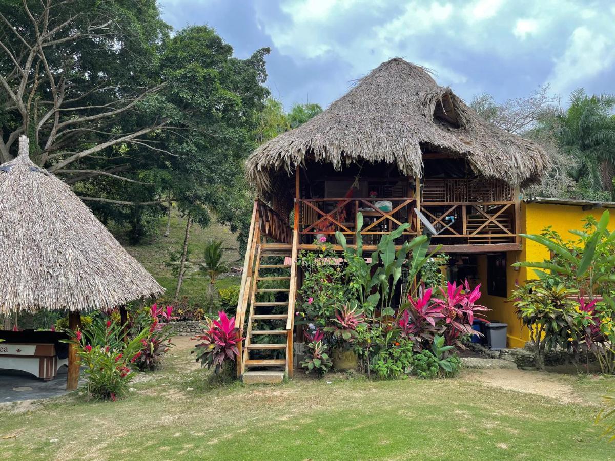 Ecohostal Palmares Del Rio Guachaca ภายนอก รูปภาพ