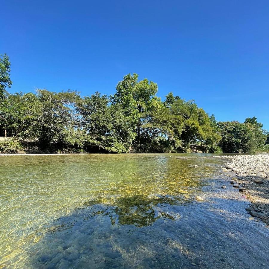 Ecohostal Palmares Del Rio Guachaca ภายนอก รูปภาพ
