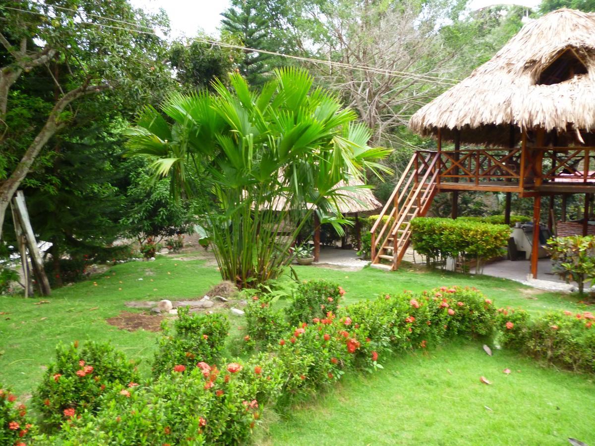 Ecohostal Palmares Del Rio Guachaca ภายนอก รูปภาพ
