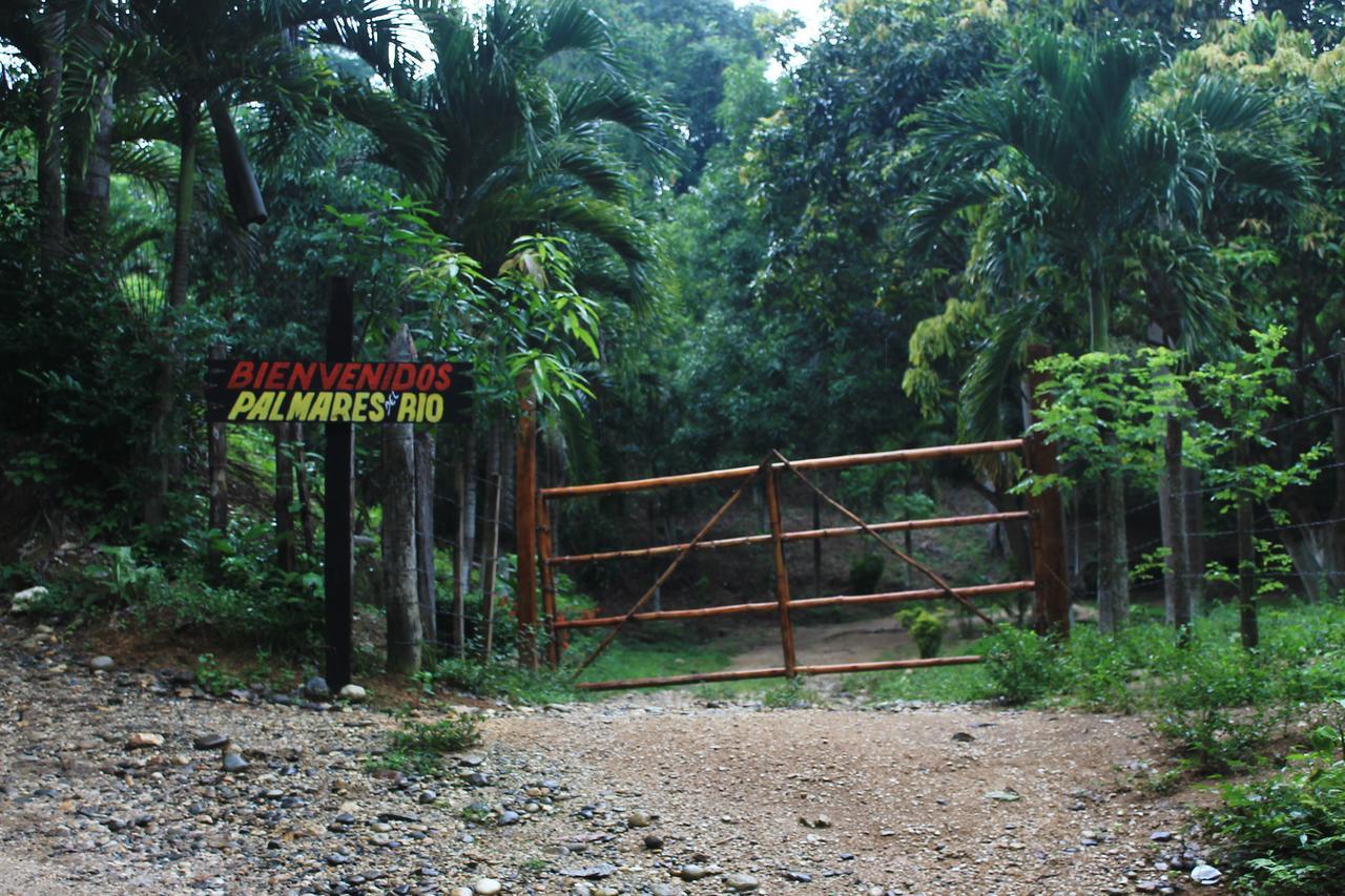 Ecohostal Palmares Del Rio Guachaca ภายนอก รูปภาพ