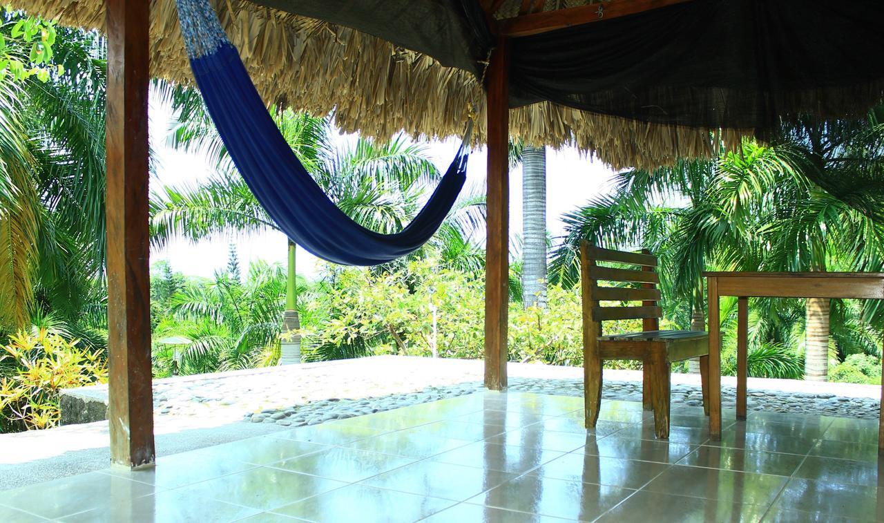 Ecohostal Palmares Del Rio Guachaca ภายนอก รูปภาพ